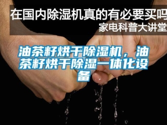 知識百科油茶籽烘干除濕機，油茶籽烘干除濕一體化設備