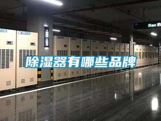 行業新聞除濕器有哪些品牌
