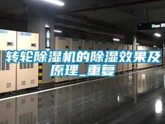 常見問題轉輪除濕機的除濕效果及原理_重復