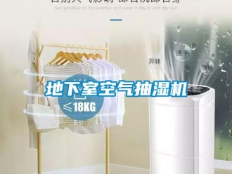 企業(yè)新聞地下室空氣抽濕機(jī)