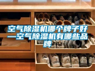 企業新聞空氣除濕機哪個牌子好—空氣除濕機有哪些品牌