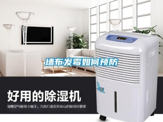 常見問題墻布發霉如何預防