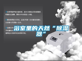 知識百科浴室里的天然“除濕器”