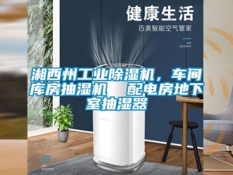 常見問題湘西州工業(yè)除濕機(jī)，車間庫房抽濕機(jī)  配電房地下室抽濕器