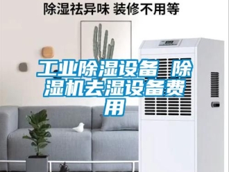 常見問題工業(yè)除濕設(shè)備 除濕機去濕設(shè)備費用