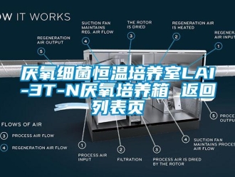 知識百科厭氧細菌恒溫培養室LAI-3T-N厭氧培養箱 返回列表頁