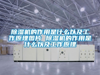 企業新聞除濕機的作用是什么以及工作原理圖片 除濕機的作用是什么以及工作原理