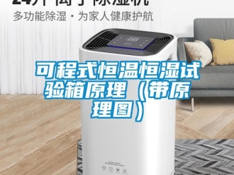 知識百科可程式恒溫恒濕試驗箱原理（帶原理圖）