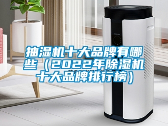 企業新聞抽濕機十大品牌有哪些（2022年除濕機十大品牌排行榜）