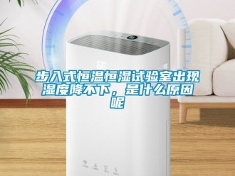 知識(shí)百科步入式恒溫恒濕試驗(yàn)室出現(xiàn)濕度降不下，是什么原因呢