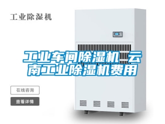 常見問題工業車間除濕機 云南工業除濕機費用