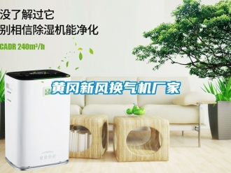 企業新聞黃岡新風換氣機廠家