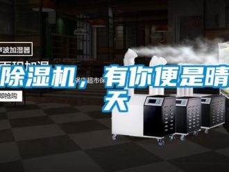 常見問題除濕機，有你便是晴天