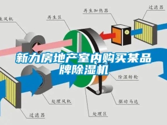 知識百科新力房地產(chǎn)室內(nèi)購買某品牌除濕機