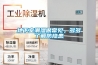 地下室潮濕很常見，多多了解防隱患