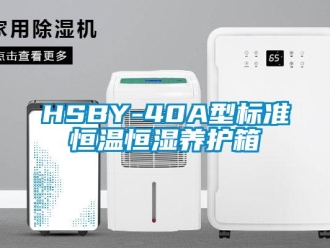常見問題HSBY-40A型標準恒溫恒濕養護箱