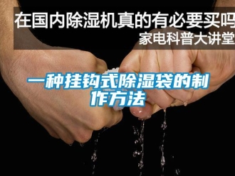 企業新聞一種掛鉤式除濕袋的制作方法