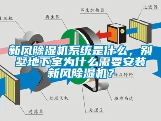 常見問題新風除濕機系統是什么，別墅地下室為什么需要安裝新風除濕機？