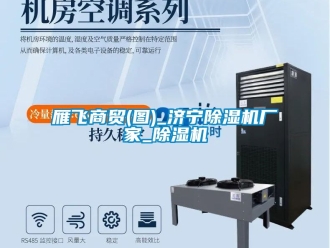 企業(yè)新聞雁飛商貿(mào)(圖)_濟寧除濕機廠家_除濕機