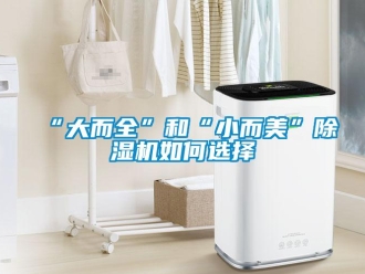 常見問題“大而全”和“小而美”除濕機如何選擇
