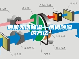 企業新聞房間如何除濕—房間除濕的方法