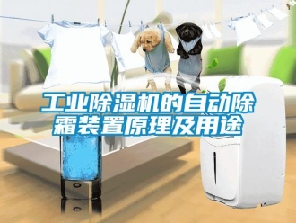 企業(yè)新聞工業(yè)除濕機(jī)的自動(dòng)除霜裝置原理及用途