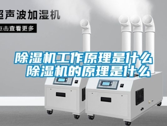 行業新聞除濕機工作原理是什么 除濕機的原理是什么