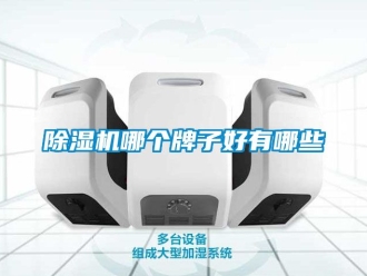 行業(yè)新聞除濕機哪個牌子好有哪些