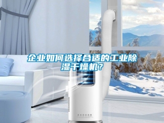 新聞資訊企業如何選擇合適的工業除濕干燥機？