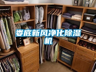 常見問題婁底新風凈化除濕機