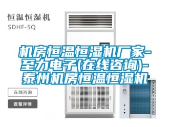 知識百科機房恒溫恒濕機廠家-至力電子(在線咨詢)-泰州機房恒溫恒濕機