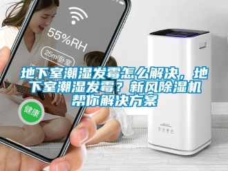 常見問題地下室潮濕發霉怎么解決，地下室潮濕發霉？新風除濕機幫你解決方案