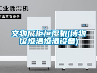知識百科文物展柜恒濕機(博物館恒溫恒濕設備)