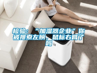 常見問題檢驗：“加濕器企業(yè)”你被搜索左膀，鼠標右臂了嗎
