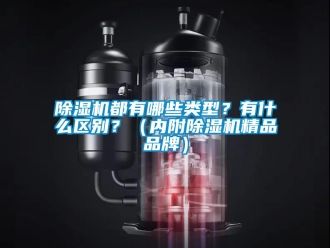 企業新聞除濕機都有哪些類型？有什么區別？（內附除濕機精品品牌）