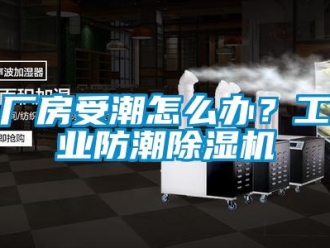 常見問題廠房受潮怎么辦？工業(yè)防潮除濕機