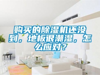 常見問題購買的除濕機還沒到，地板很潮濕，怎么應對？