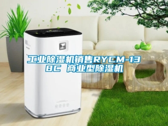 常見問題工業(yè)除濕機銷售RYCM-138C 商業(yè)型除濕機