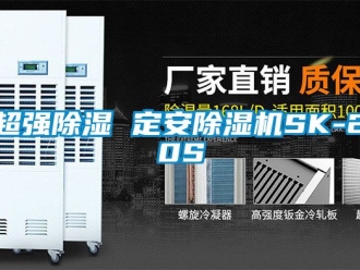 企業新聞超強除濕 定安除濕機SK-20S