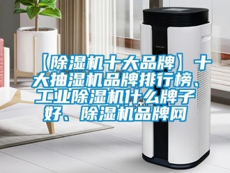 常見問題【除濕機十大品牌】十大抽濕機品牌排行榜、工業除濕機什么牌子好、除濕機品牌網
