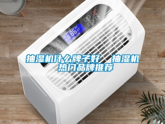 企業新聞抽濕機什么牌子好  抽濕機 熱門品牌推薦