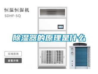 行業新聞除濕器的原理是什么