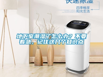 企業新聞地下室潮濕了怎么辦？不要著急，記住這幾個知識點
