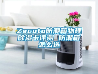 企業(yè)新聞Zacuto防潮箱物理除濕卡評測 防潮箱怎么選