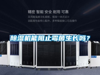常見問題除濕機(jī)能阻止霉菌生長嗎？