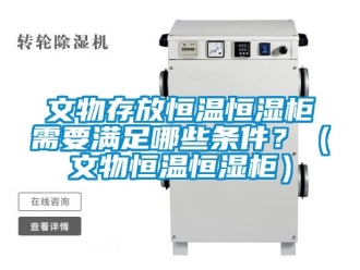 知識百科文物存放恒溫恒濕柜需要滿足哪些條件？（文物恒溫恒濕柜）
