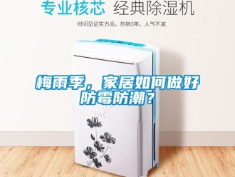 常見問題梅雨季，家居如何做好防霉防潮？