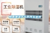 陰雨潮濕天氣的養(yǎng)生保健