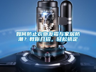 常見問題如何防止衣物發霉與家居防潮？教你幾招，輕松搞定