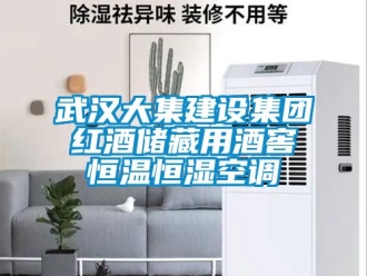 知識百科武漢大集建設集團紅酒儲藏用酒窖恒溫恒濕空調